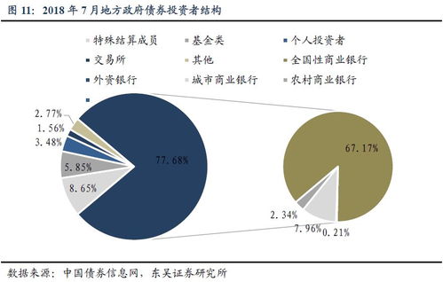 财政分析手册进阶 地方政府债券与个人互联网服务